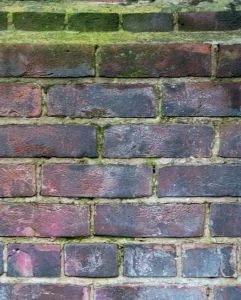 Algae covered masonry brick undergoing soft wash chemical dwell